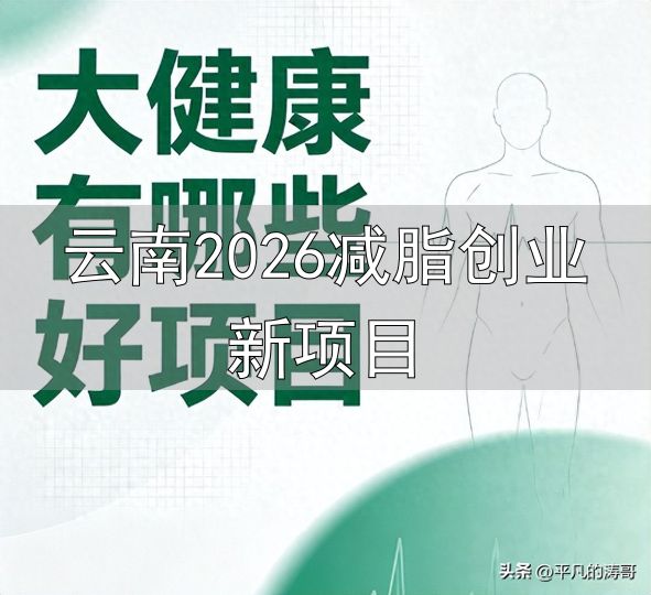 大健康好项目_社区康养商业模式_云南2026减脂创业新项目