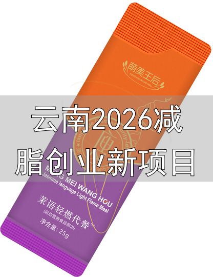 云南2026减脂创业新项目_星慧美(海南)科技有限公司_减肥创业项目推荐