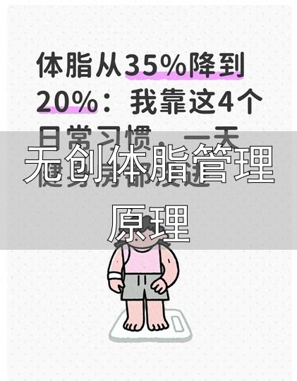 零成本减脂方法_无创体脂管理原理_日常习惯减脂