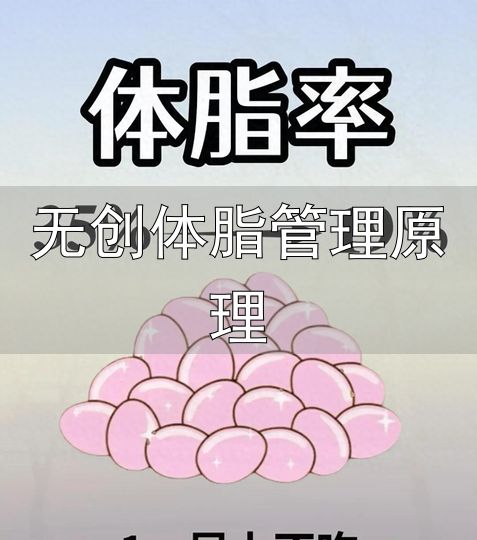 减脂体脂率腰围_体成分静息心率指标_无创体脂管理原理
