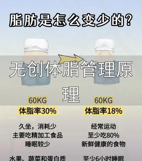 减脂体脂率腰围_体成分静息心率指标_无创体脂管理原理