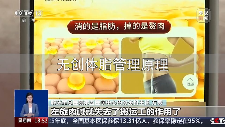 黑咖啡减肥法效果_无创体脂管理原理_防弹咖啡减脂原理