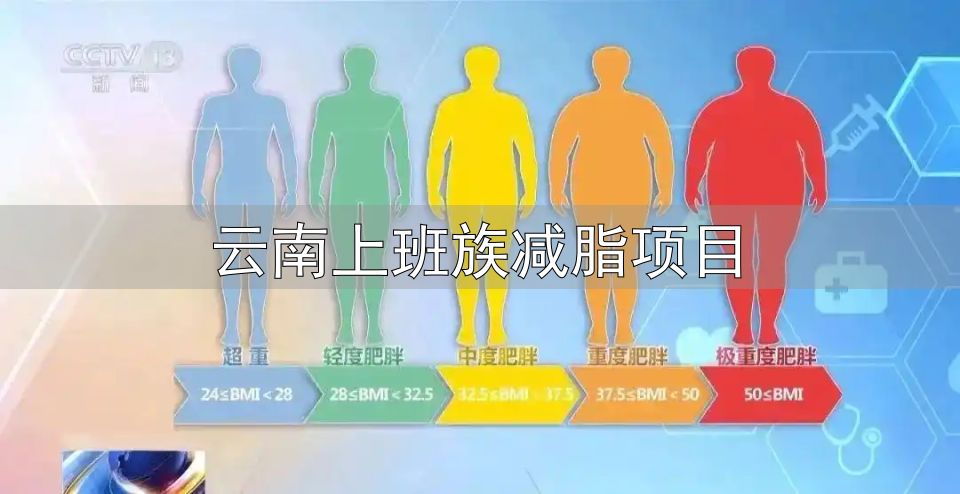 体重管理指导原则2024_健康减肥食谱2024_云南上班族减脂项目