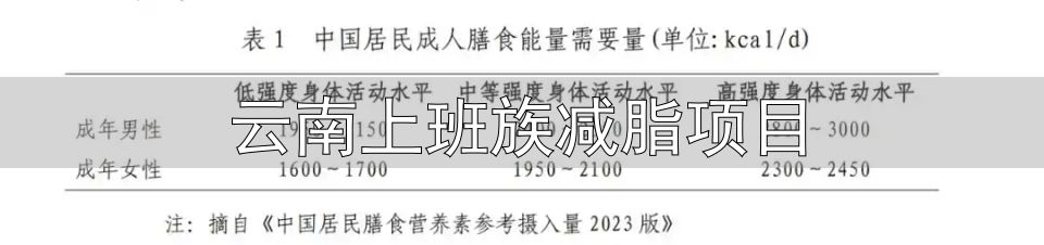 健康减肥食谱2024_云南上班族减脂项目_体重管理指导原则2024