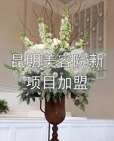 花艺培训加盟一体化的优势_昆明美容院新项目加盟_开花店培训加盟能学到什么