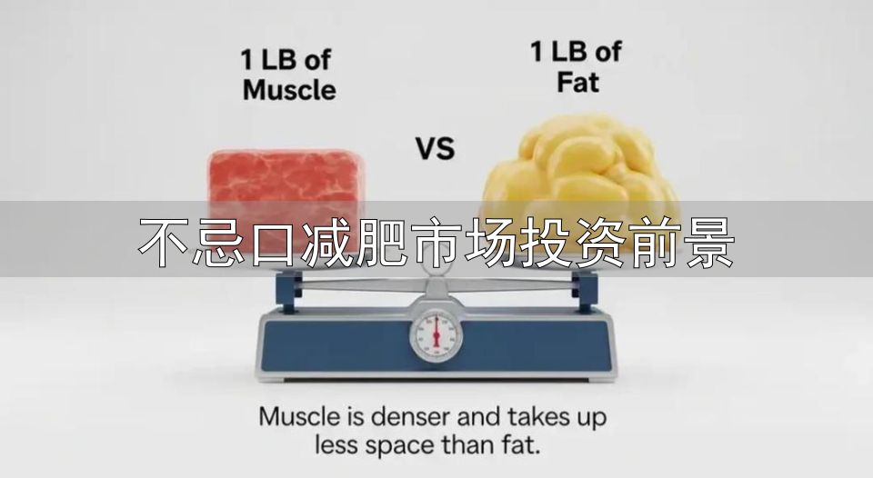 不忌口减肥市场投资前景_蛋白质摄入不足减重效果差_减重高蛋白饮食