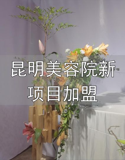 加盟费包含哪些费用_花店加盟费构成_昆明美容院新项目加盟