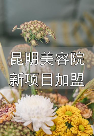 加盟费包含哪些费用_花店加盟费构成_昆明美容院新项目加盟