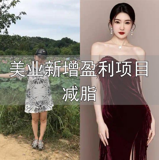 美业新增盈利项目减脂_韩益AI瘦身项目真实效果_韩益AI飞速瘦驳斥不实言论