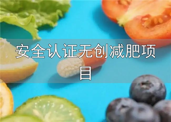2026年安全减肥产品排行_减肥产品评测标准_安全认证无创减肥项目