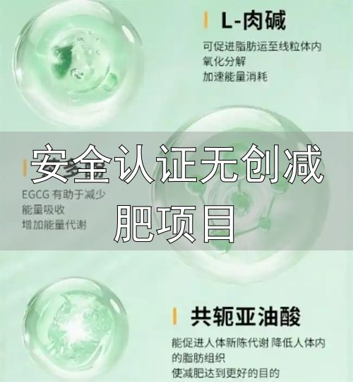 安全认证无创减肥项目_2026年安全减肥产品排行_减肥产品评测标准