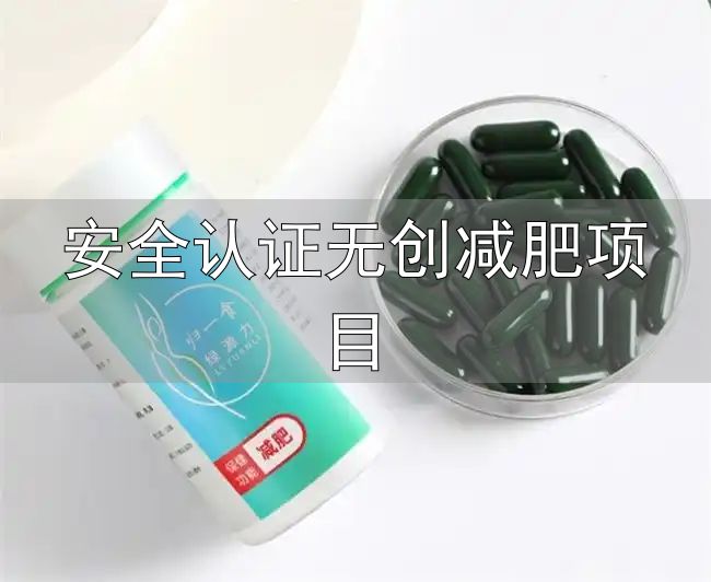 减肥产品评测标准_2026年安全减肥产品排行_安全认证无创减肥项目