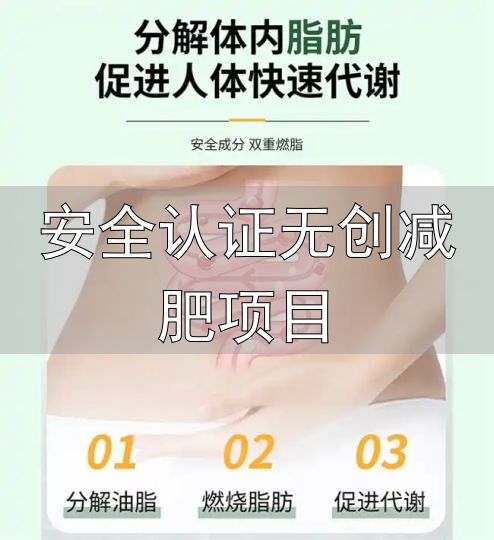 安全认证无创减肥项目_2026年安全减肥产品排行_减肥产品评测标准