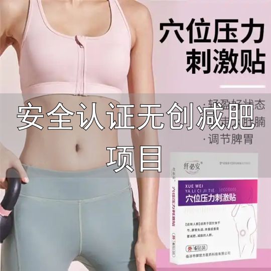 减肥产品评测标准_安全认证无创减肥项目_2026年安全减肥产品排行