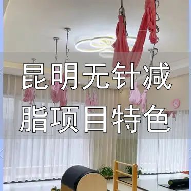 昆明无针减脂项目特色_昆明瑜伽普拉提体验_璨然瑜伽普拉提特色课程