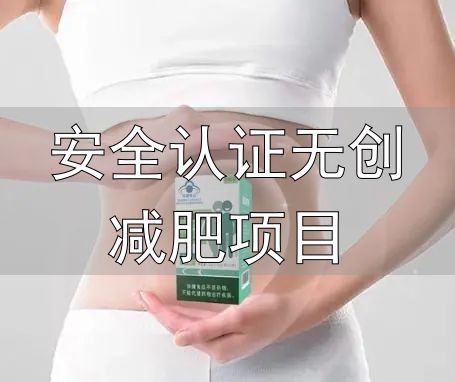 安全认证无创减肥项目_十大口碑减肥产品推荐_减肥产品国家认证