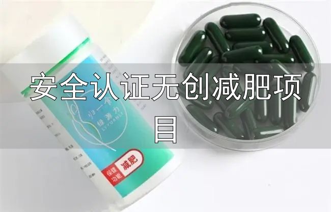 安全认证无创减肥项目_十大口碑减肥产品推荐_减肥产品国家认证