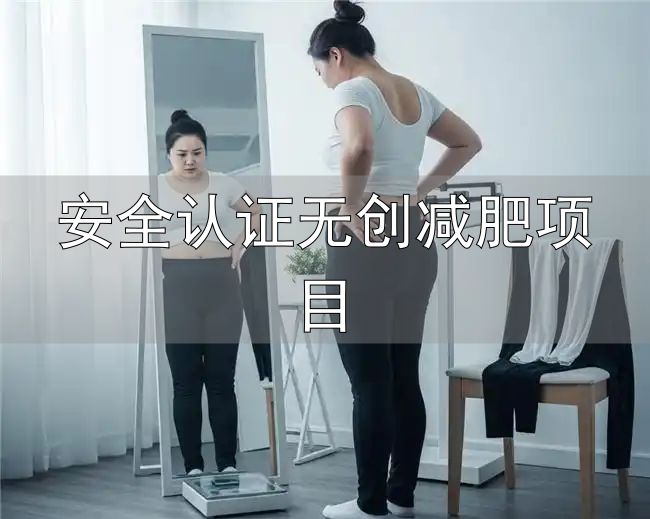 减肥产品评测标准_安全认证无创减肥项目_科学减肥产品推荐