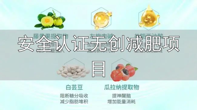 安全认证无创减肥项目_科学减肥产品推荐_减肥产品评测标准