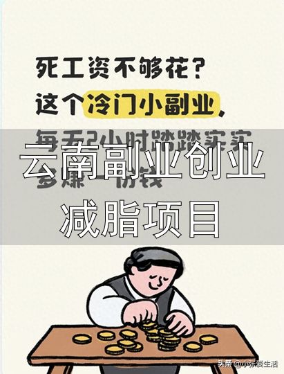 云南副业创业减脂项目_冷门副业医院代办_月薪三四千四五千普通人副业赚钱