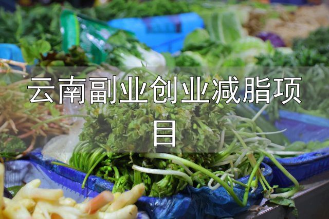 云南副业创业减脂项目_云南科研团队发现可食用新物种_国家制定的云南人减肥食谱