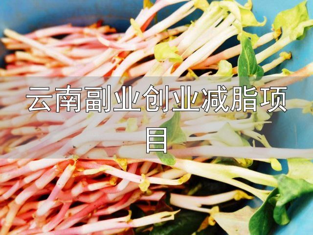 云南副业创业减脂项目_云南科研团队发现可食用新物种_国家制定的云南人减肥食谱