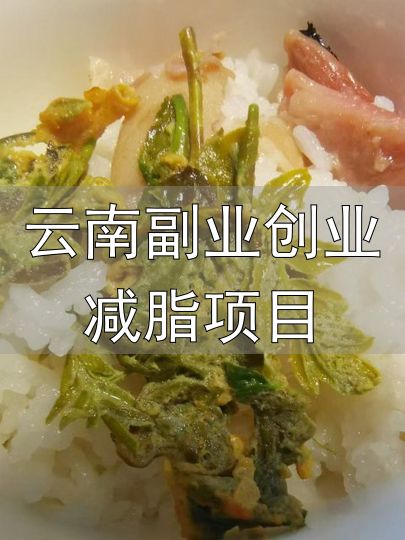 云南科研团队发现可食用新物种_云南副业创业减脂项目_国家制定的云南人减肥食谱
