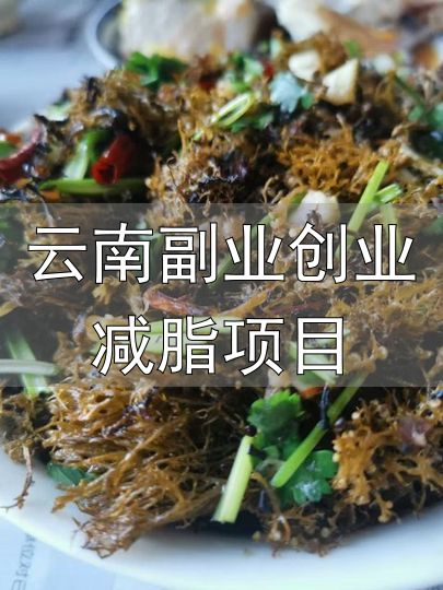 云南副业创业减脂项目_云南科研团队发现可食用新物种_国家制定的云南人减肥食谱