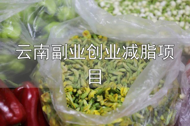 国家制定的云南人减肥食谱_云南副业创业减脂项目_云南科研团队发现可食用新物种