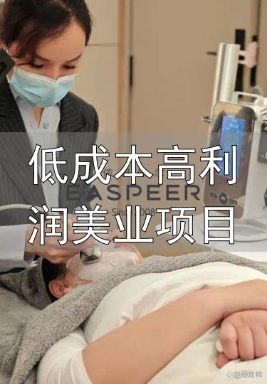 低成本高利润美业项目_依思佩尔皮肤管理连锁加盟_中高档美容院加盟品牌评测标准