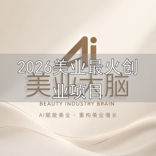 AI美业服务商选择_2026美业最火创业项目_AI美业全案落地陪跑