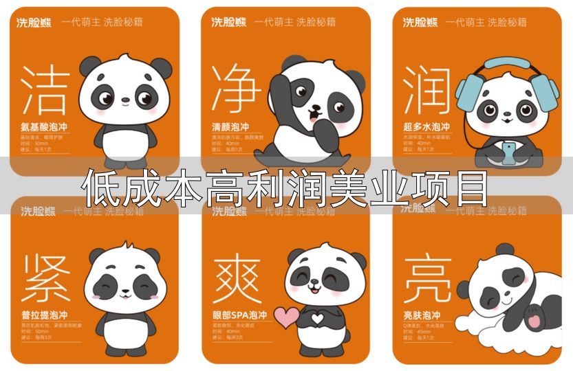 低成本高利润美业项目_洗脸吧盈利模式_洗脸吧加盟