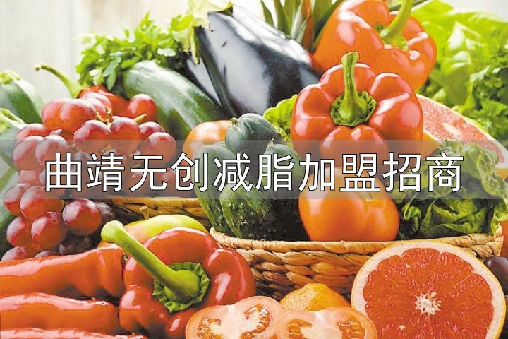 明星减肥法科学性_轻食减肥法_曲靖无创减脂加盟招商