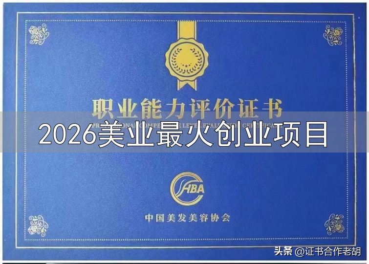 美容师职业技能证_2026美业最火创业项目_皮肤管理师专项证书