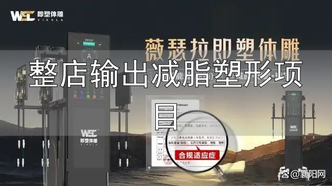 科技塑形行业迭代升级_科技塑形系统化管理流程_整店输出减脂塑形项目