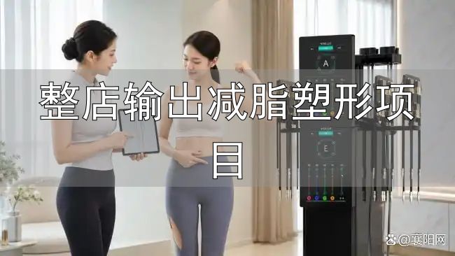 整店输出减脂塑形项目_科技塑形系统化管理流程_科技塑形行业迭代升级