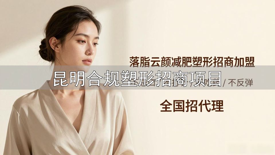 昆明市基础设施和产业项目投资_昆明合规塑形招商项目_昆明市第六批次民间资本推介项目