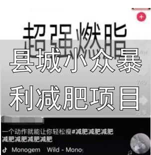 减肥课程服务模式_饮食减肥IP打造_县城小众暴利减肥项目