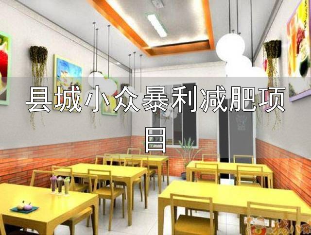 健康行业创业项目推荐_县城小众暴利减肥项目_小县城暴力小本创业行业