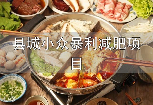 健康行业创业项目推荐_小县城暴力小本创业行业_县城小众暴利减肥项目