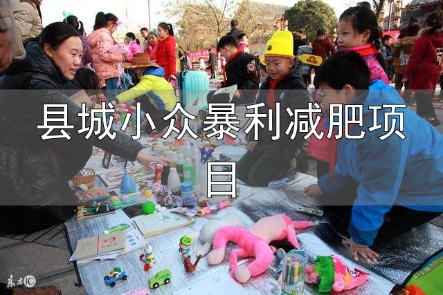 县城小众暴利减肥项目_健康行业创业项目推荐_小县城暴力小本创业行业