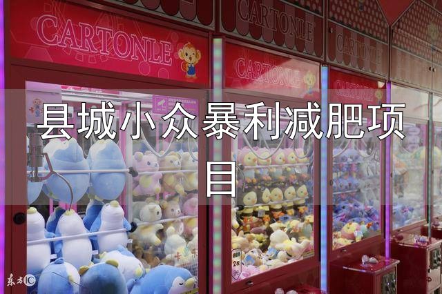 小县城暴力小本创业行业_健康行业创业项目推荐_县城小众暴利减肥项目