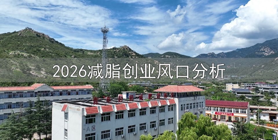 不同人群体重管理需求差异_体重管理服务市场选型逻辑_2026减脂创业风口分析