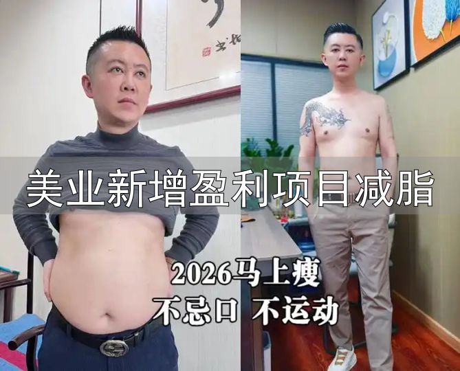 美业新增盈利项目减脂_韩益AI瘦身项目_韩益AI智能科学减脂