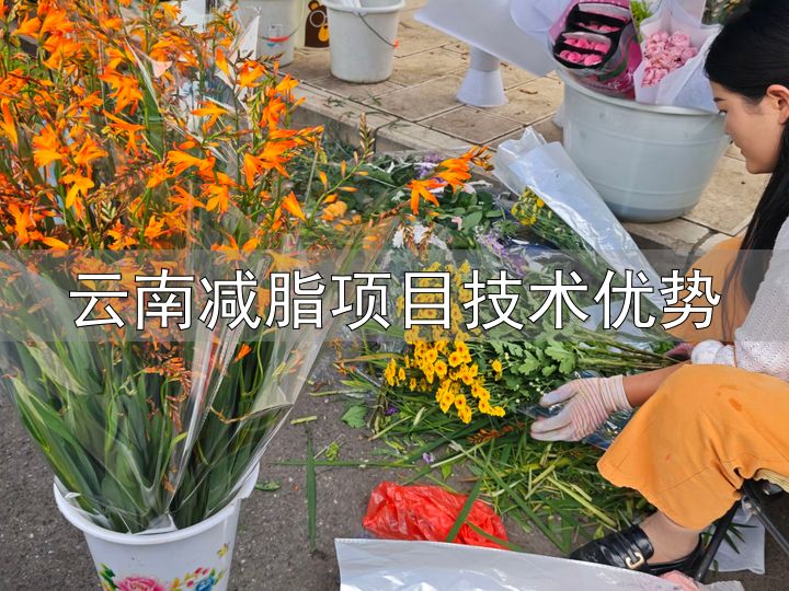 带薪减肥_云南减脂项目技术优势_副业劳作瘦身