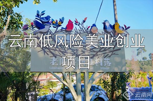 云南低风险美业创业项目_创业云南行动计划_云南创业福地